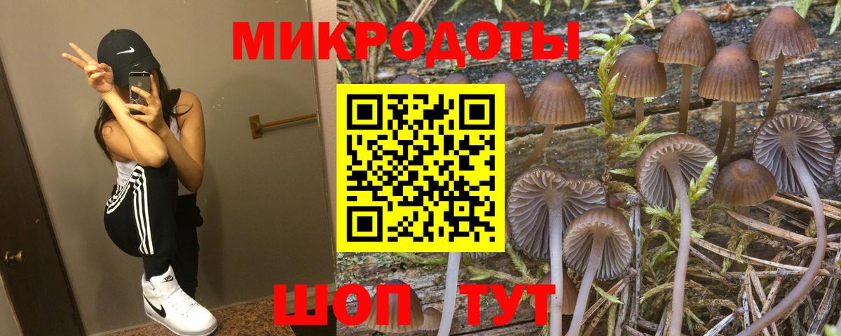 Псилоцибиновые грибы ЛСД Новочебоксарск
