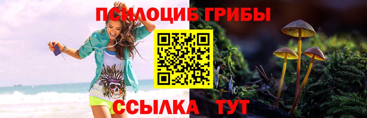 Галлюциногенные грибы MAGIC MUSHROOMS  Вход с VPN  Новочебоксарск 